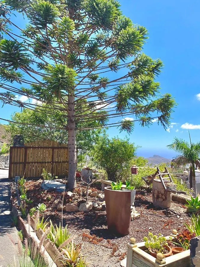 Finca Chimaca Arona  Arona (Tenerife)